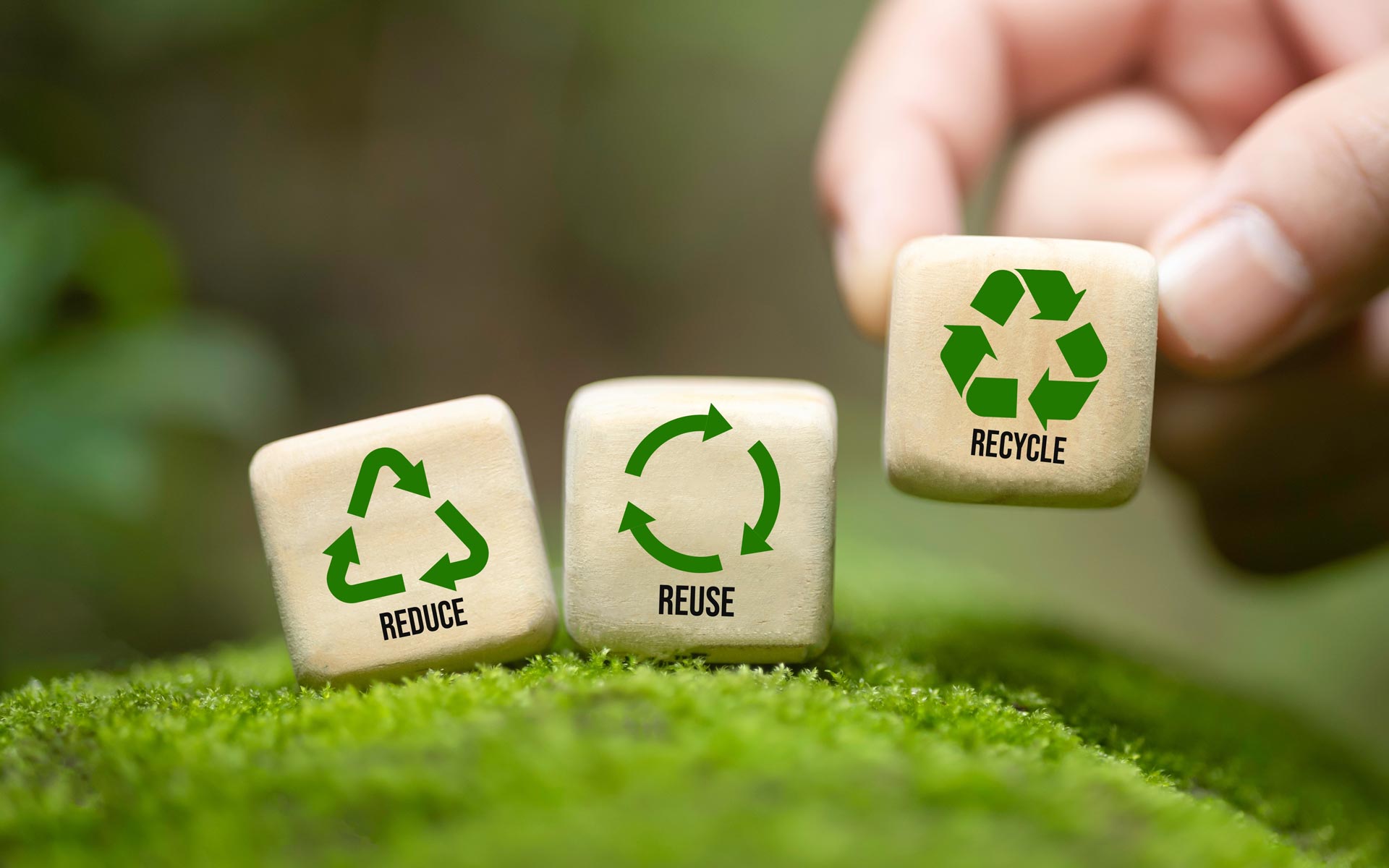 Green Pinwheel Image